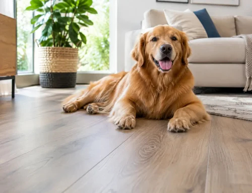 Best Flooring for Dogs That Still Looks Refined